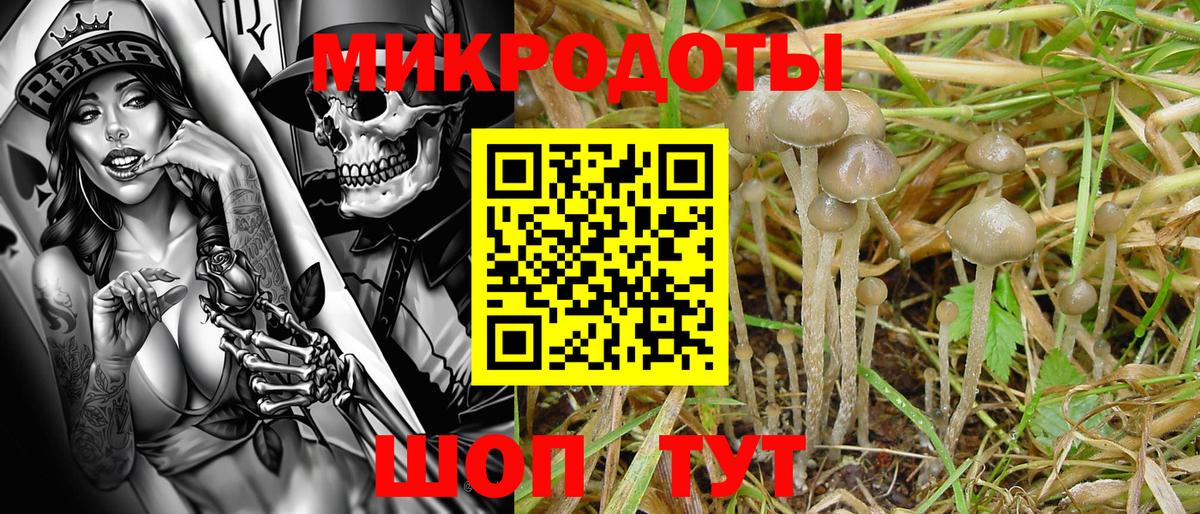 Галлюциногенные грибы прущие грибы Новотроицк