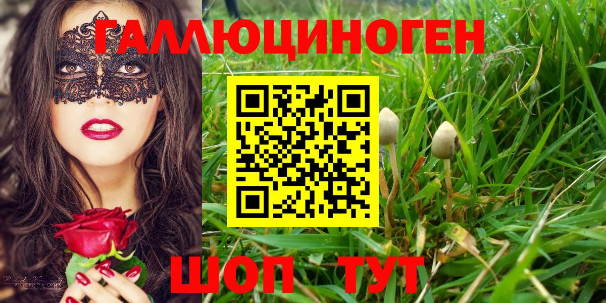 Новотроицк  Псилоцибиновые грибы Magic Shrooms  Вход с VPN 